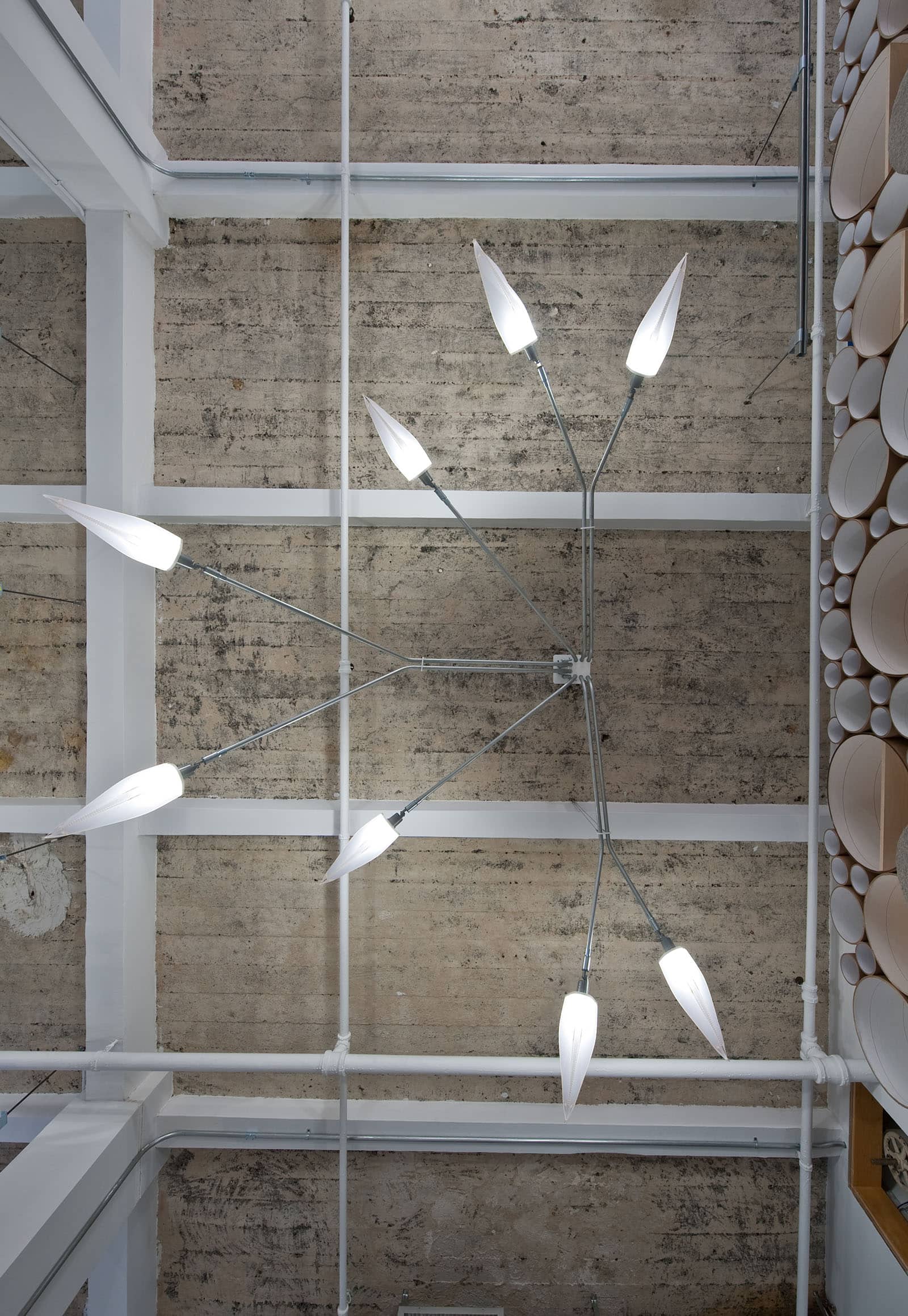 Blue Marlin - SOFTlab